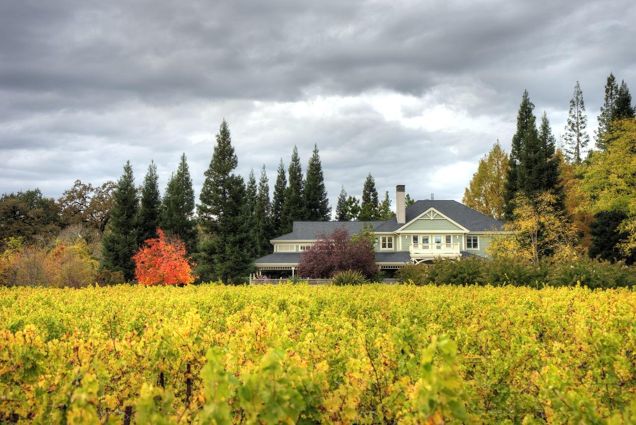 Planning Your Perfect Day in Napa Valley with Must-Visit Wineries and Local Flavors