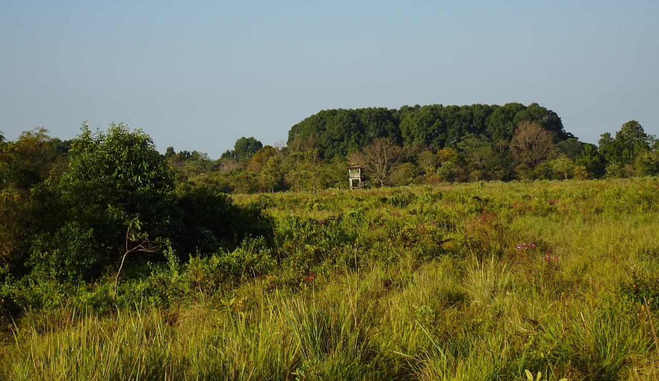 Assam India Travel Itineraries – Your Easy Guide