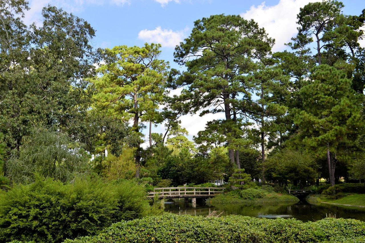 Houston texas travel itinerary – your perfect guide