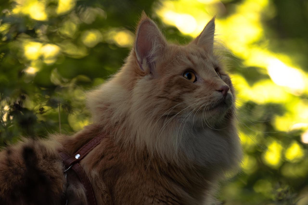 How to create nice looking trip itineraries travel agent tips