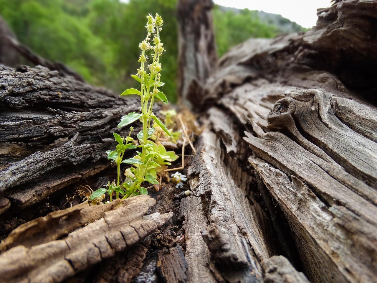 9 Person Group Travel Greece Itinerary – Tips for Smooth Planning