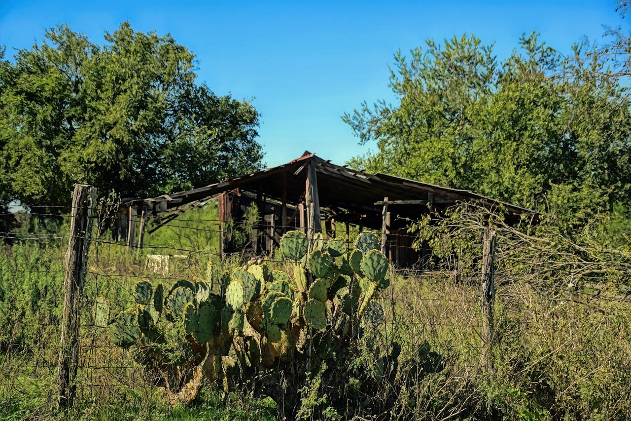 2-day itinerary for things to do in Austin tx made simple