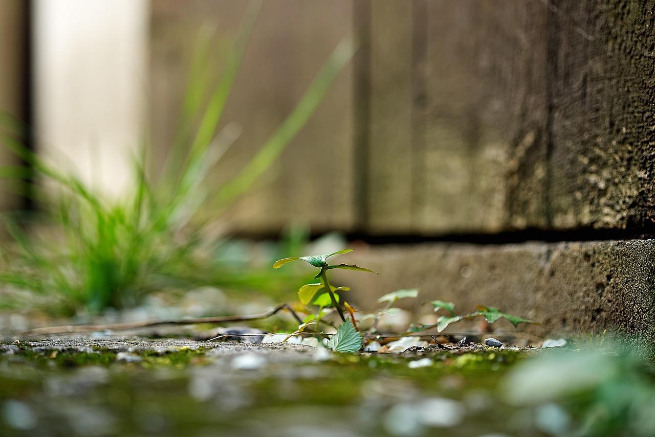 Batanes travel itinerary: a gentle guide for explorers