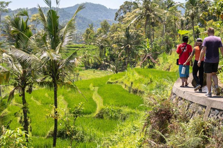 Tailoring Your Journey with Thoughtful Accommodation and Dining Choices