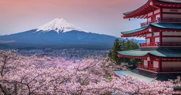 Practical Travel Tips and Local Insights to Maximize Your Month in Japan